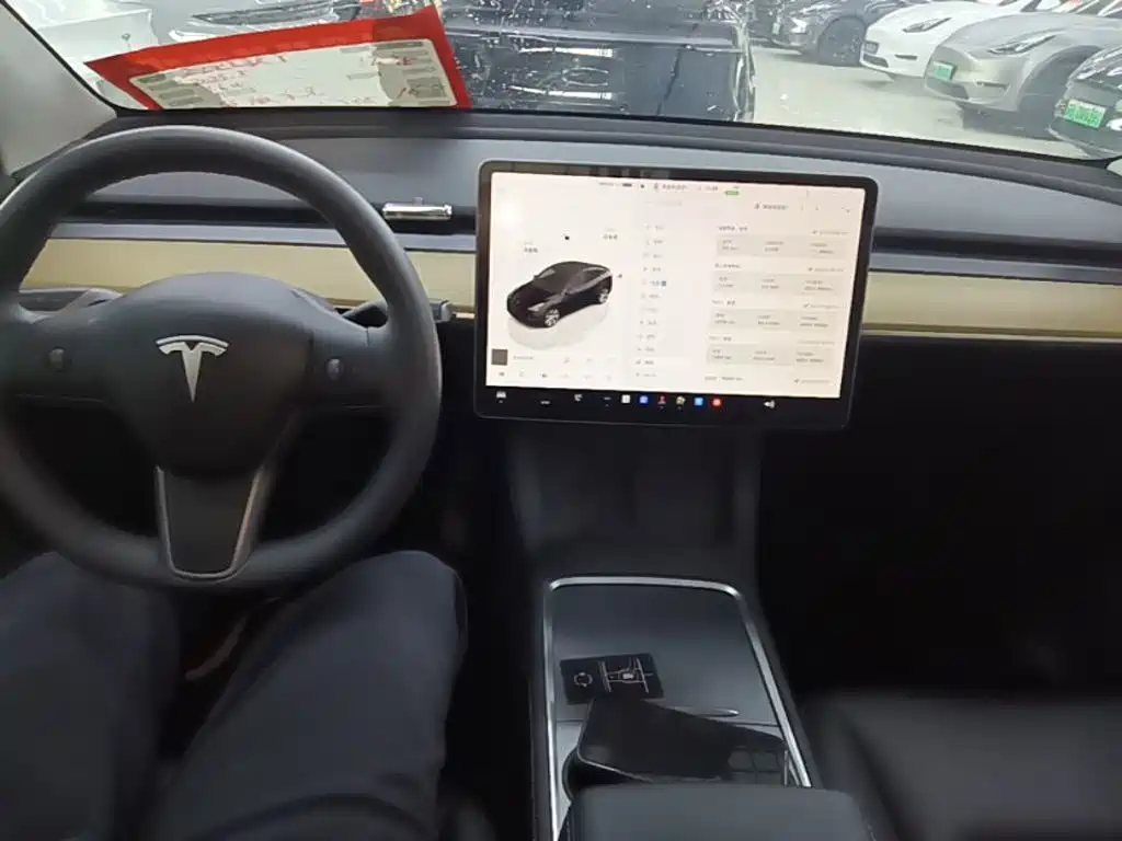 Tesla Model Y — миниатюра 10