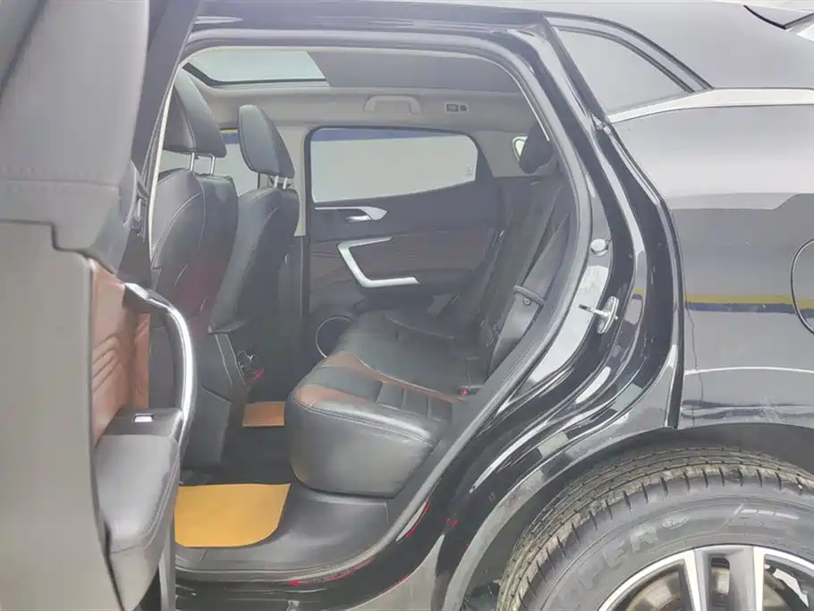 WEI PAI WEI BRAND VV5