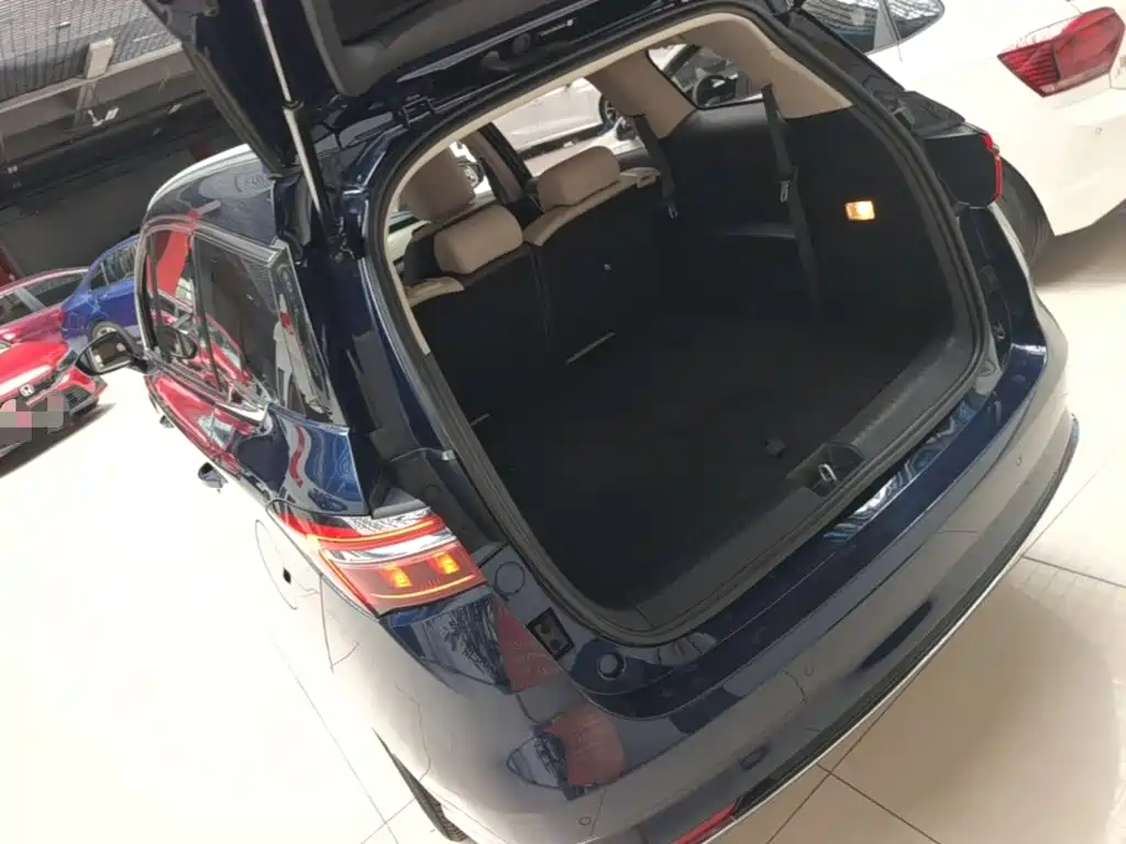 BYD MAX New Energy — миниатюра 5