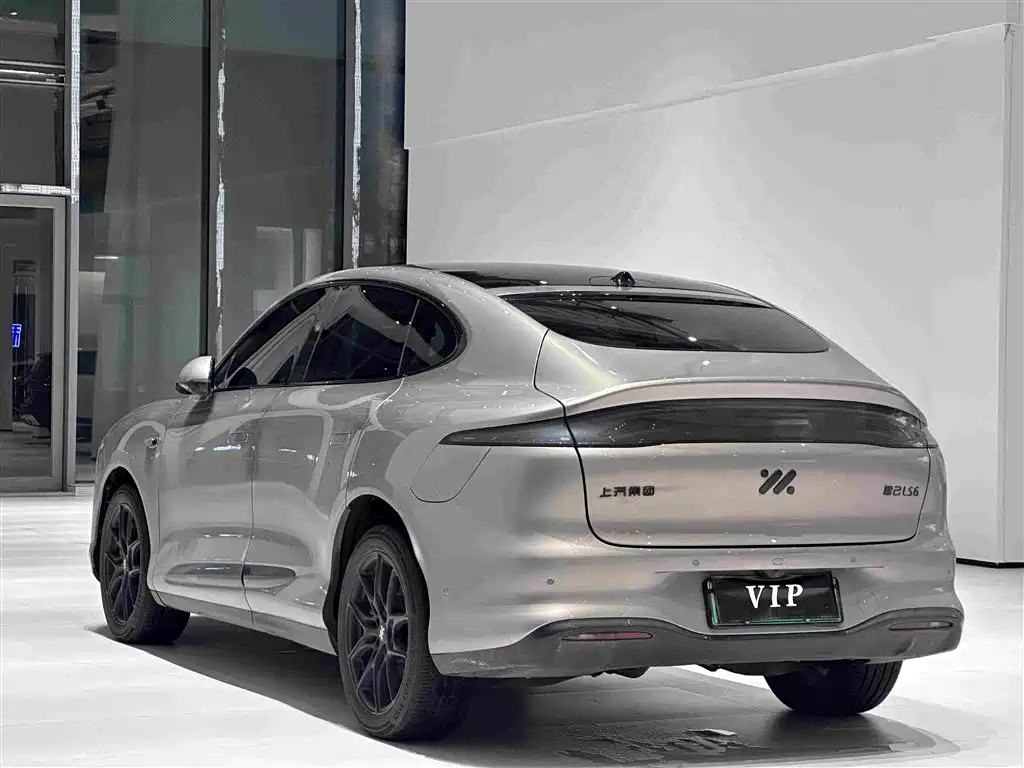 IM IM LS6 — миниатюра 7