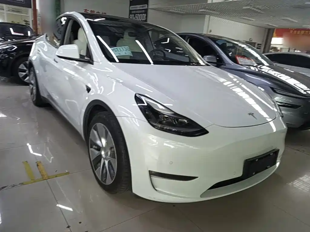 Tesla Model Y — миниатюра 4