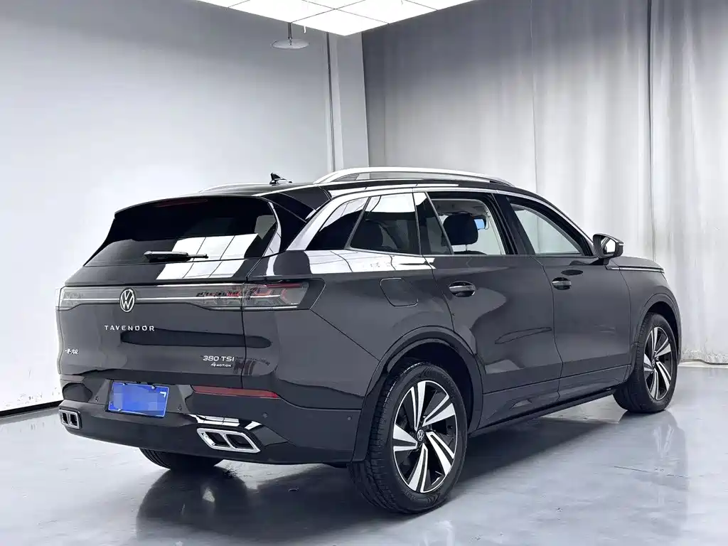 Volkswagen Tavendor — миниатюра 9