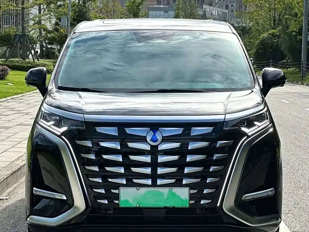 Denza Denza D9 — миниатюра 2