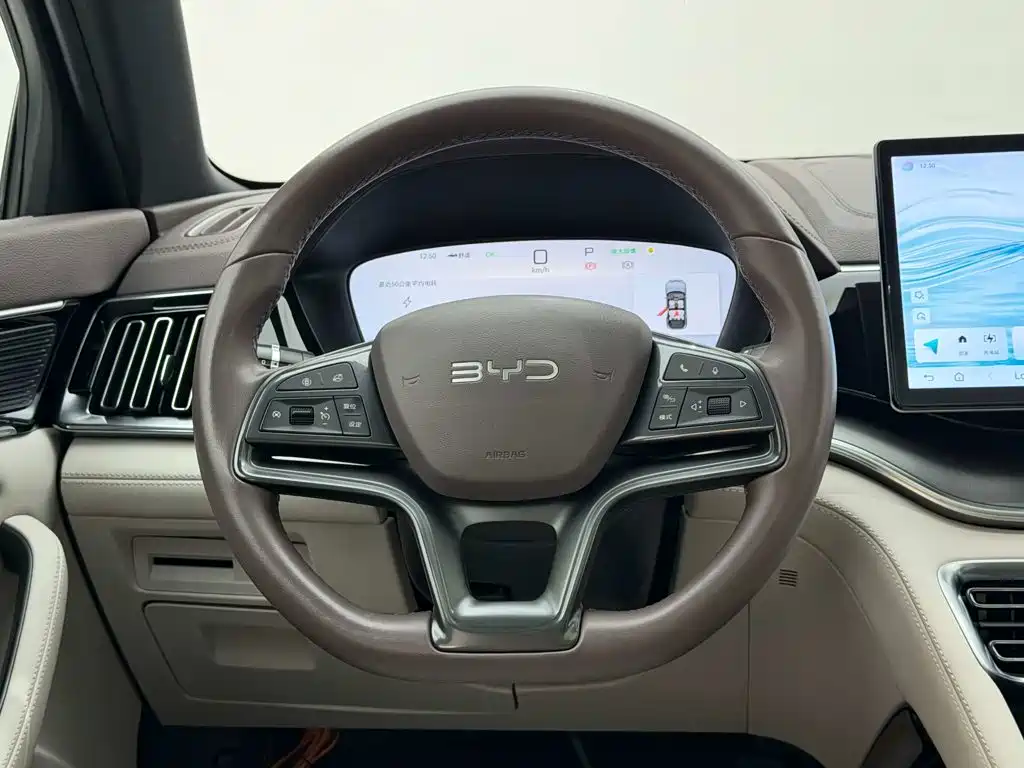 BYD PLUS New Energy — миниатюра 11
