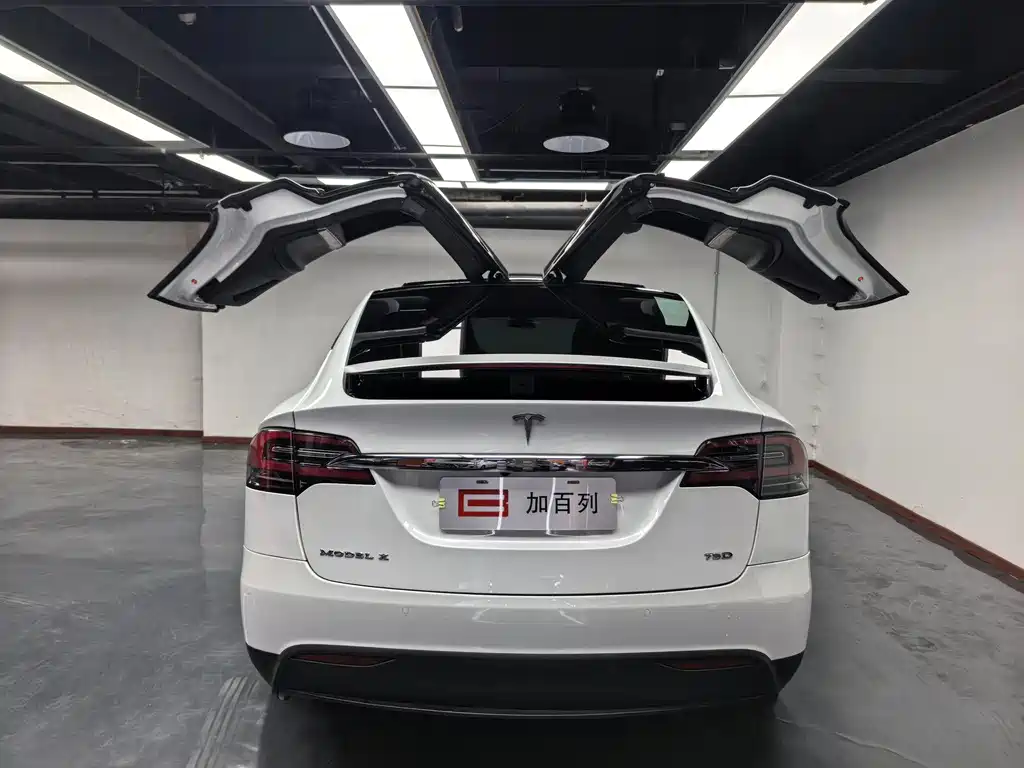 TESLA MODEL X