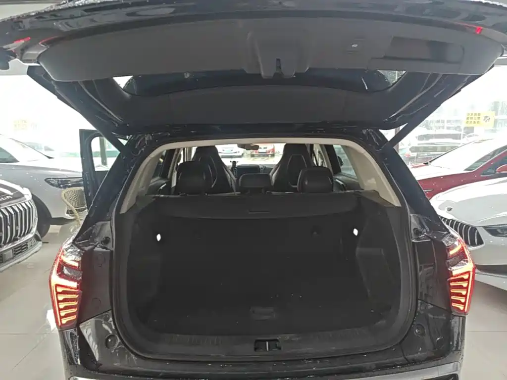 Hongqi Hongqi HS3 — миниатюра 19