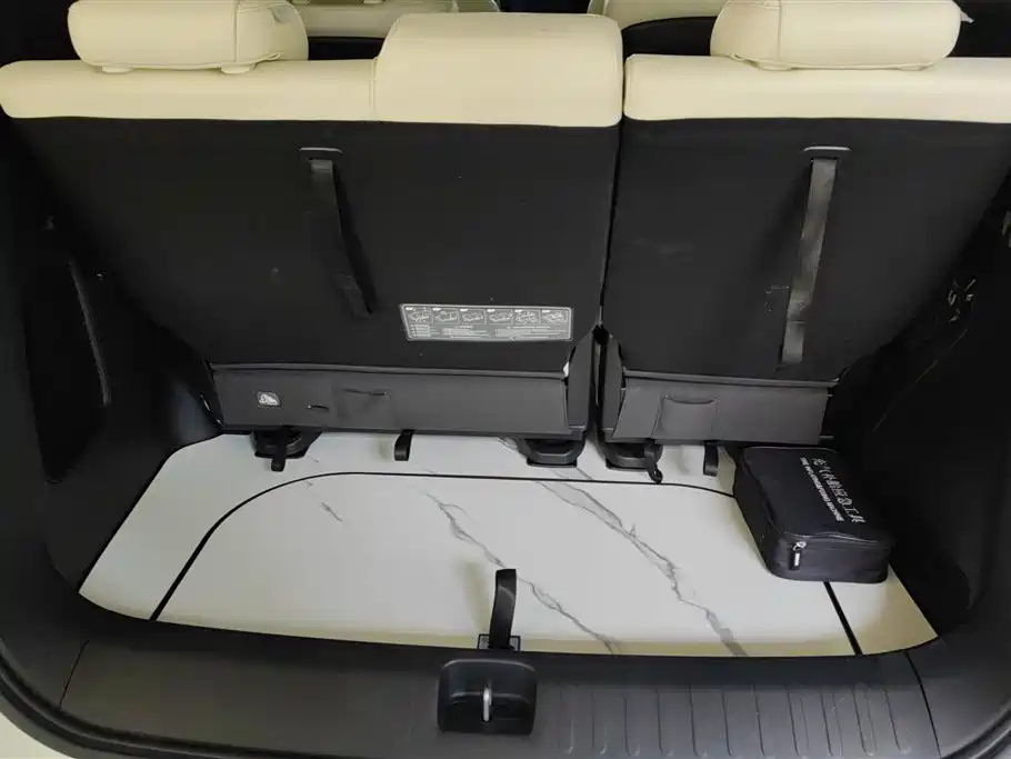 GAC E9 2023 E9 MAX
