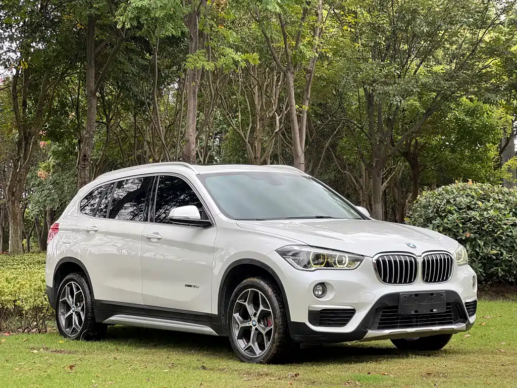 BMW X1 — миниатюра 3