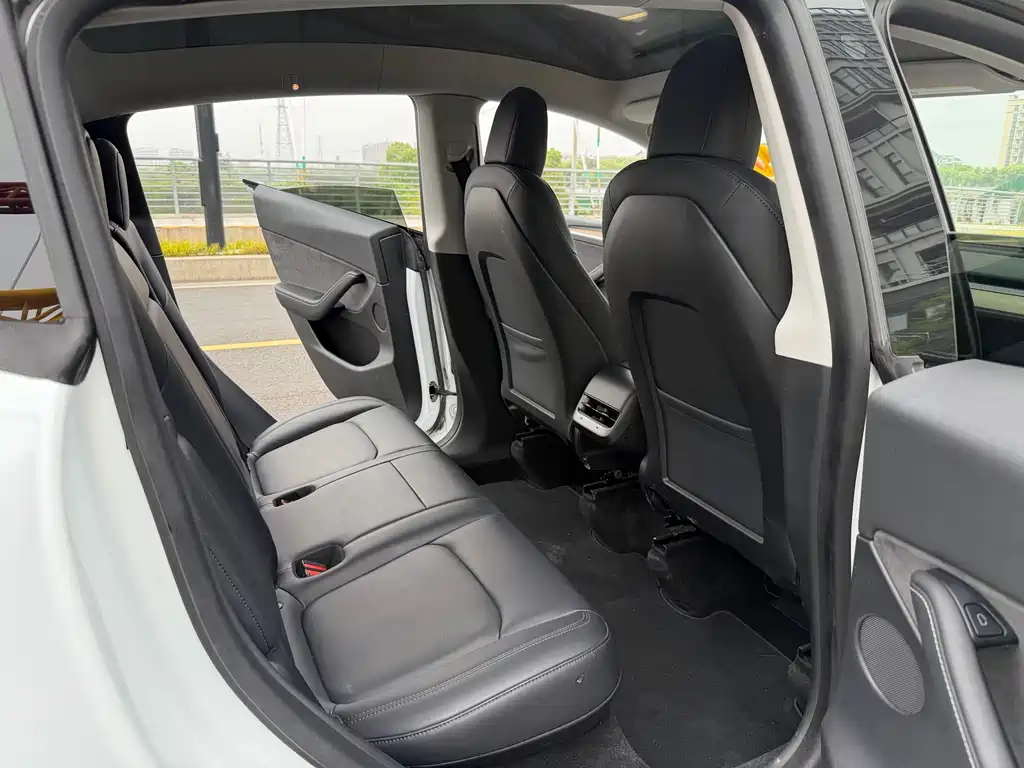 Tesla Model Y — миниатюра 7
