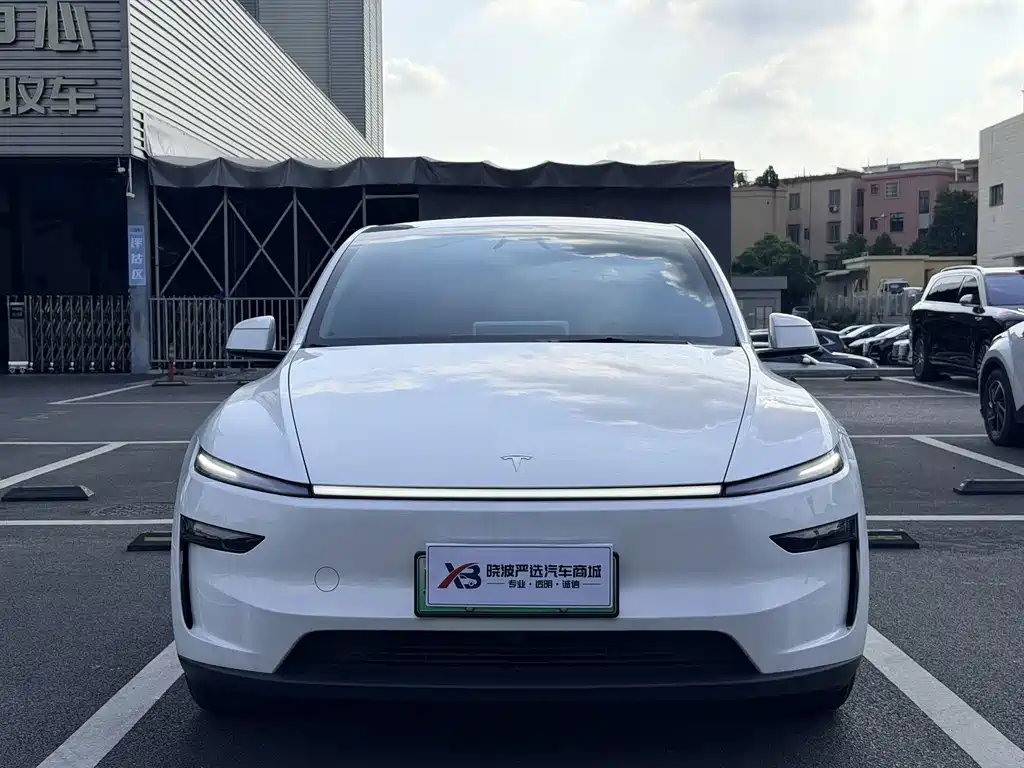 Tesla Model Y — миниатюра 2