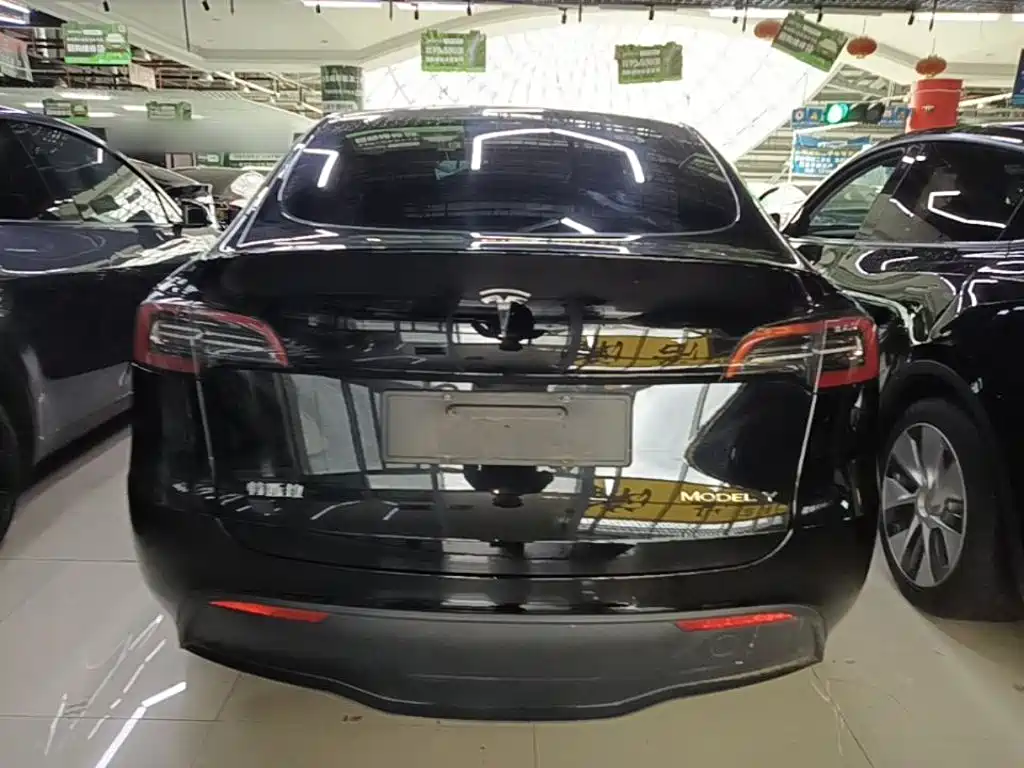 Tesla Model Y — миниатюра 6