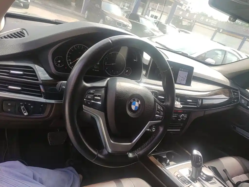 BMW X5 (Import) — миниатюра 10