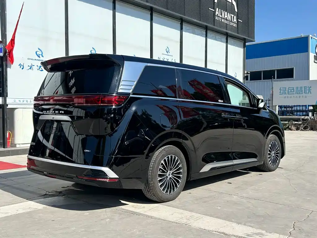Denza Denza D9 — миниатюра 4