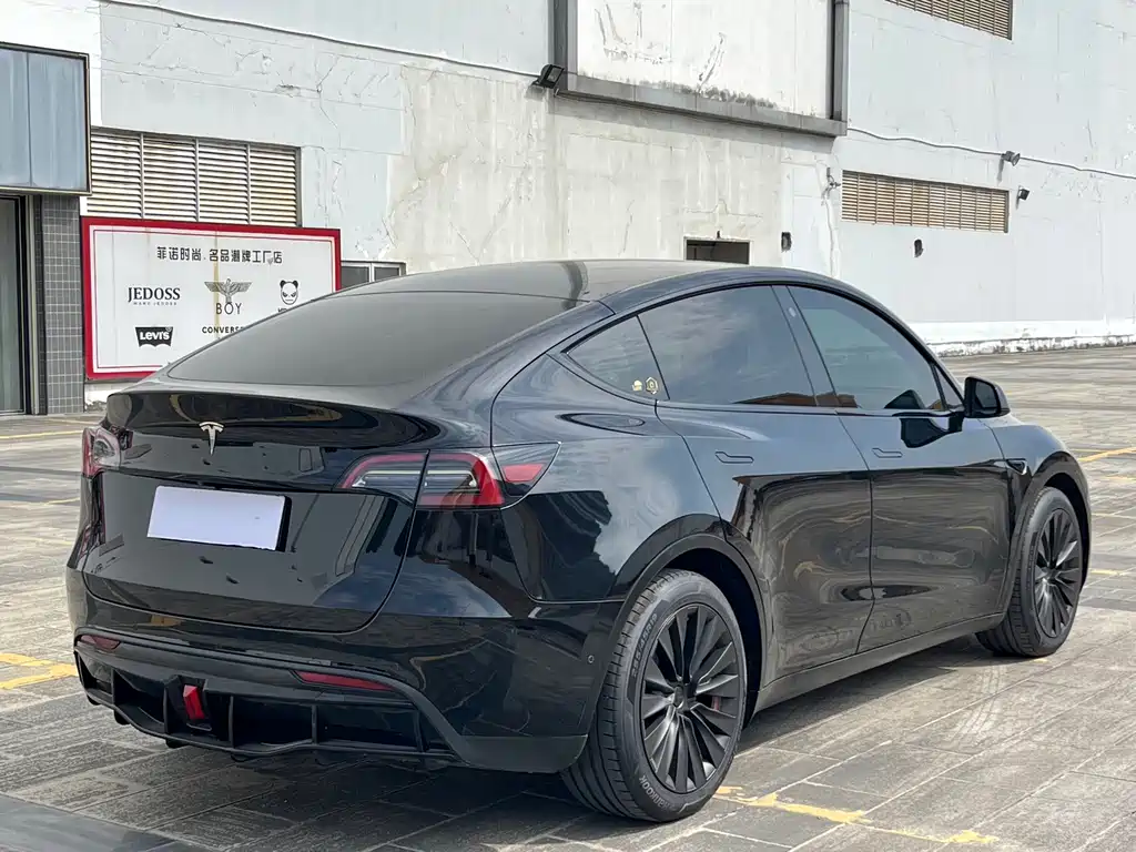 Tesla Model Y — миниатюра 4