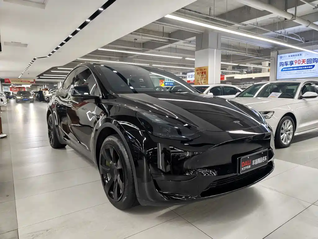 Tesla Model Y — миниатюра 3