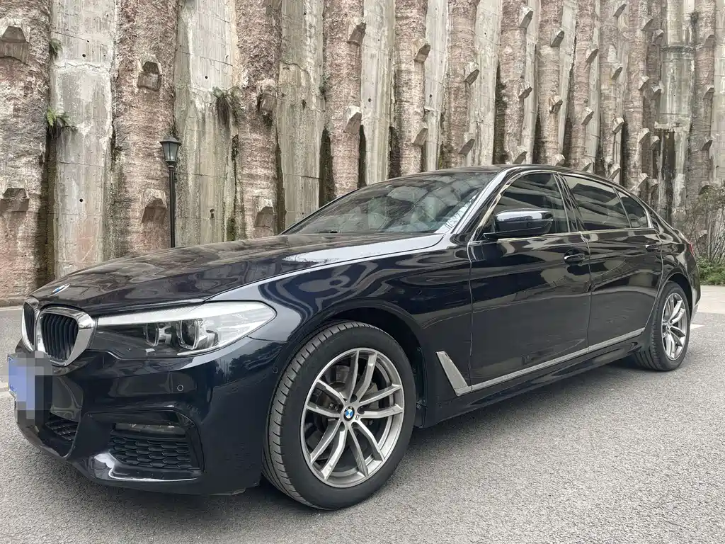 BMW 5 Series 2019