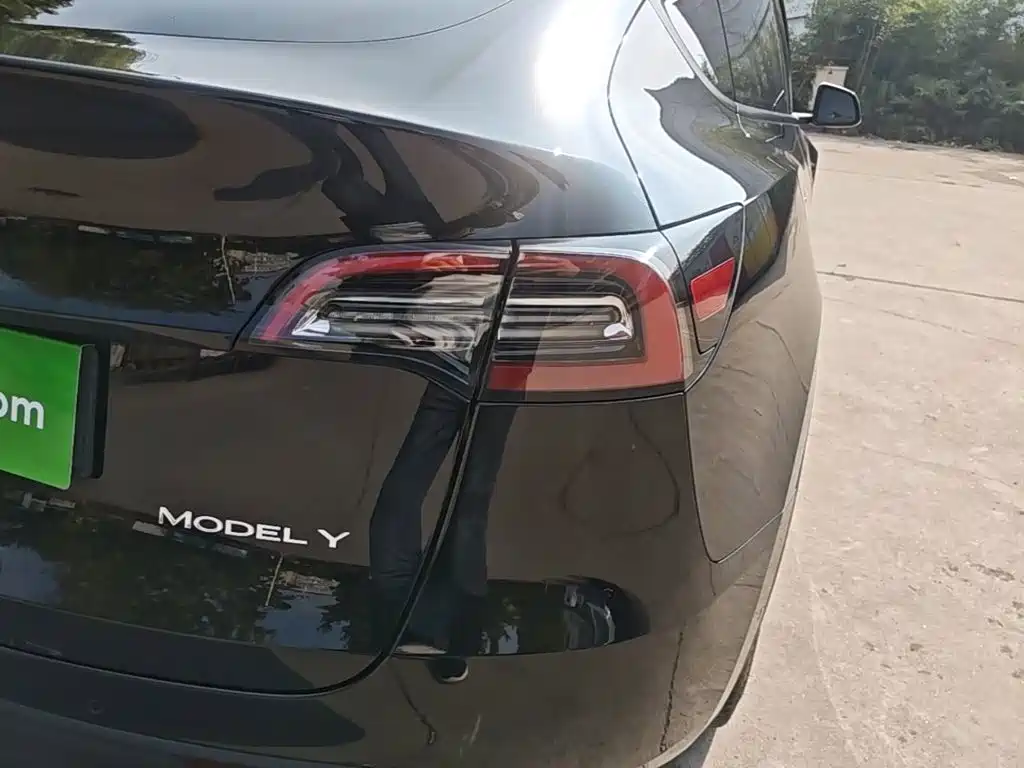 Tesla Model Y — миниатюра 8