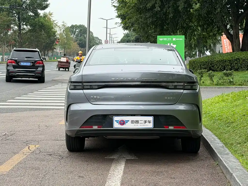 BYD Destroyer 05 — миниатюра 5