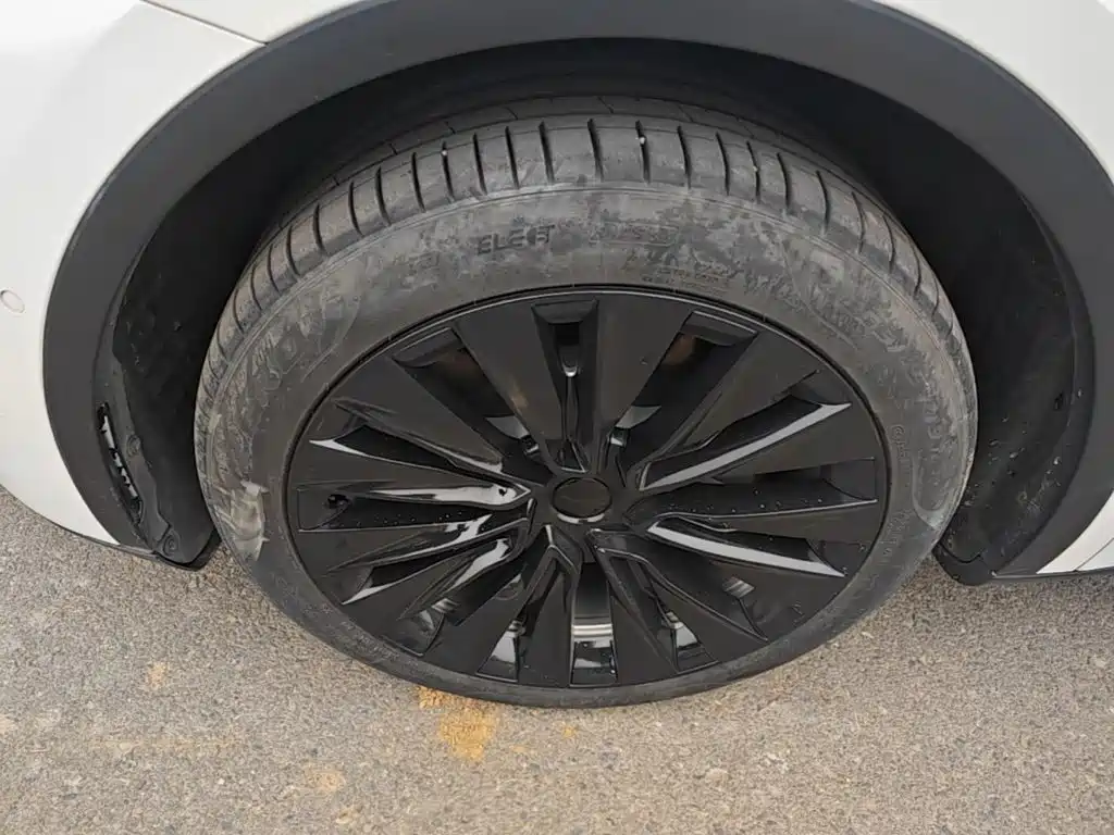 Tesla Model Y — миниатюра 23