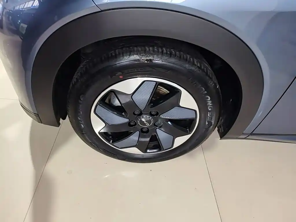BYD Dolphin — миниатюра 23