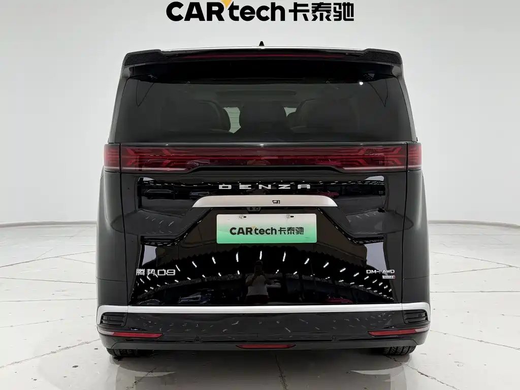 Denza Denza D9 — миниатюра 6