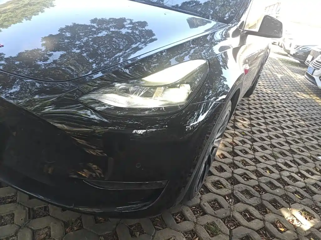 Tesla Model Y — миниатюра 24