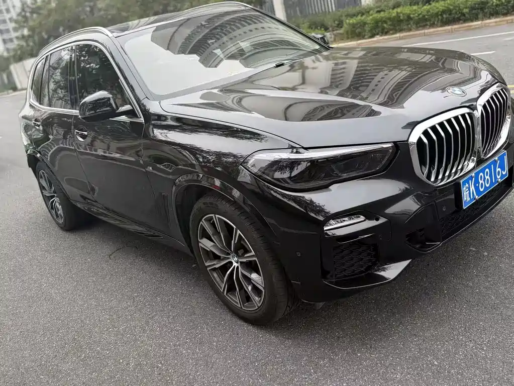 BMW X5 (Import) — миниатюра 2