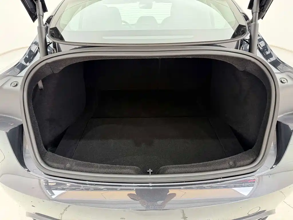Tesla Model 3 — миниатюра 26