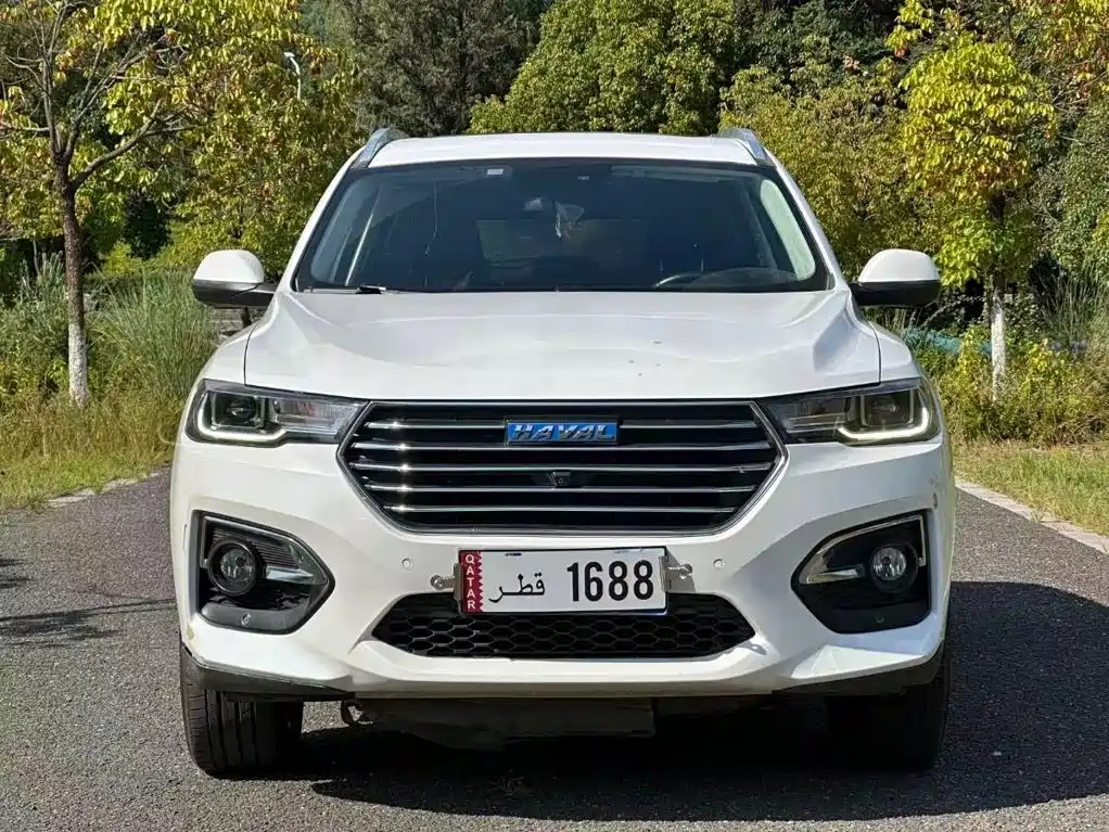 Haval H6 — миниатюра 2