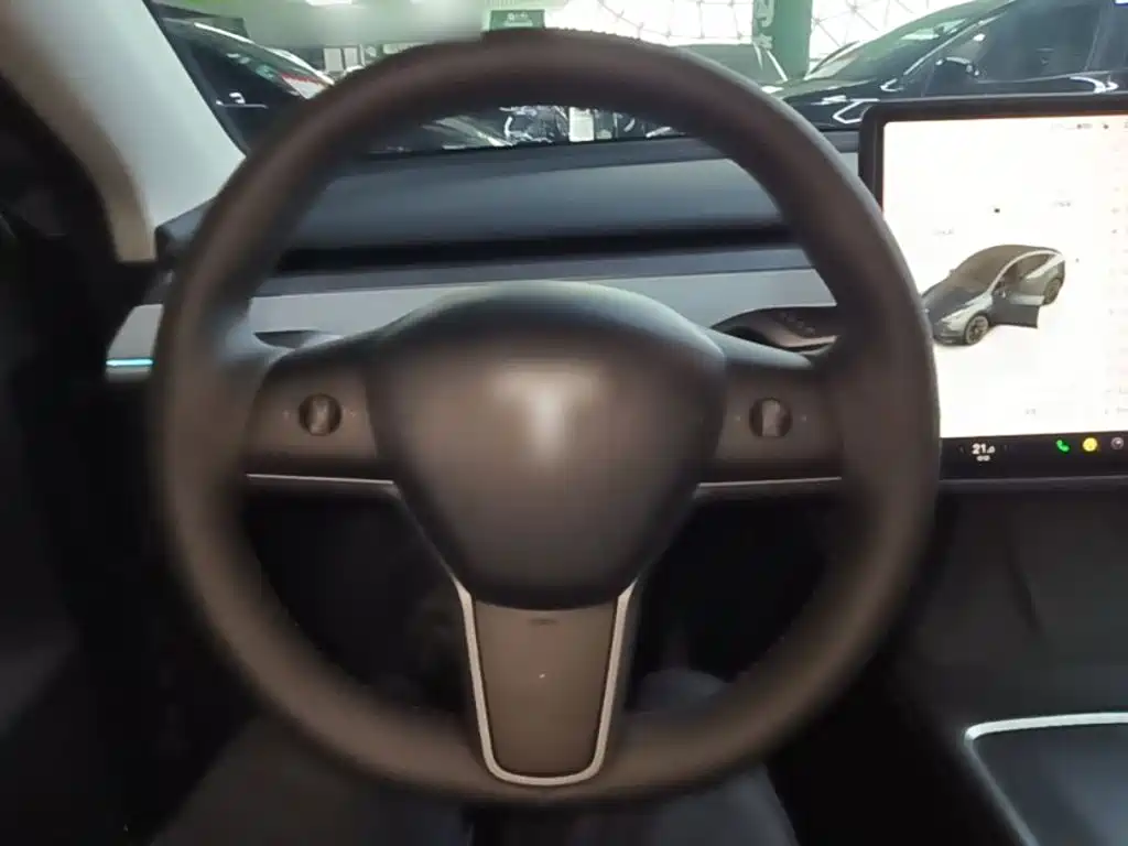 Tesla Model Y — миниатюра 11