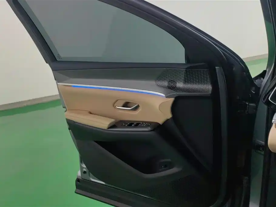 BYD SONGJIANG NEW ENERGY