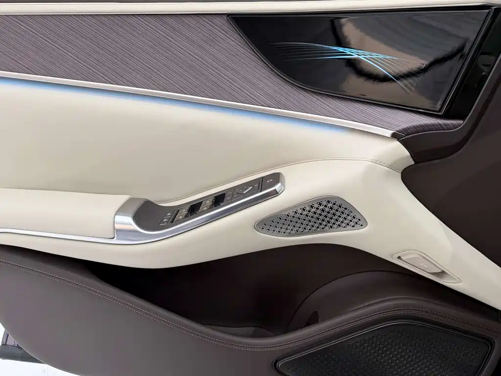Denza Denza Z9 — миниатюра 11