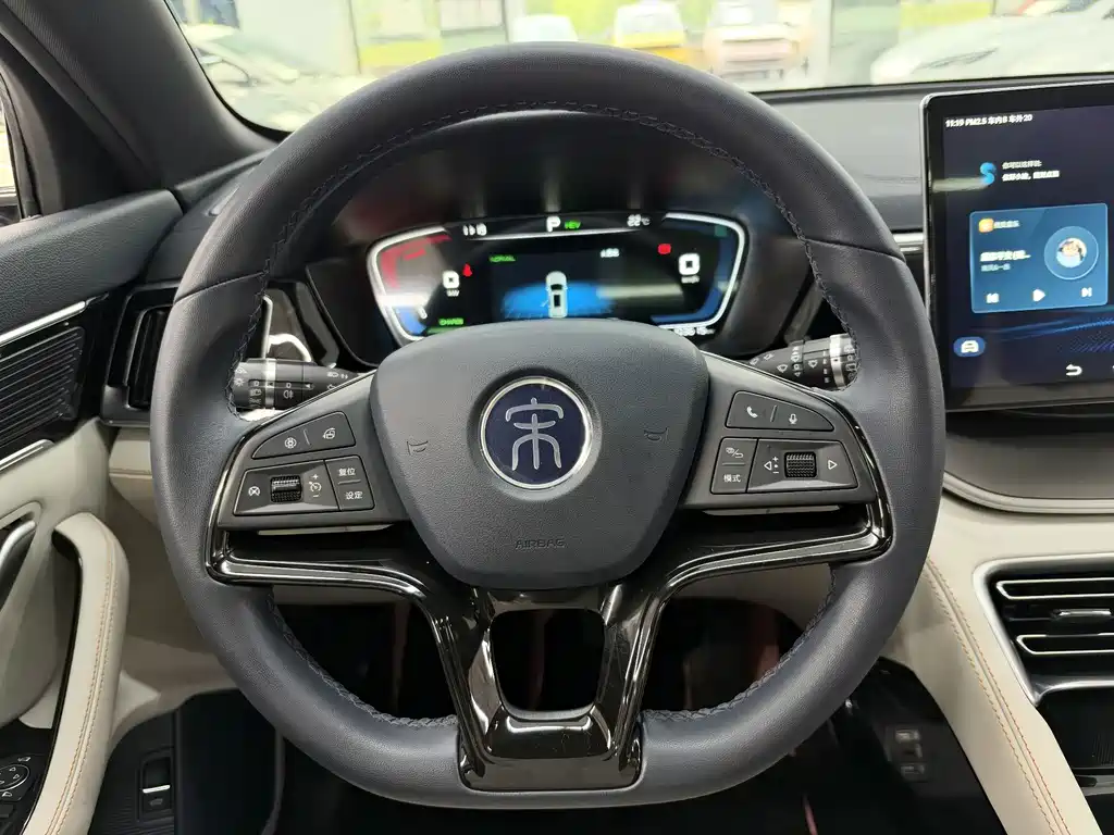 BYD PLUS New Energy — миниатюра 16