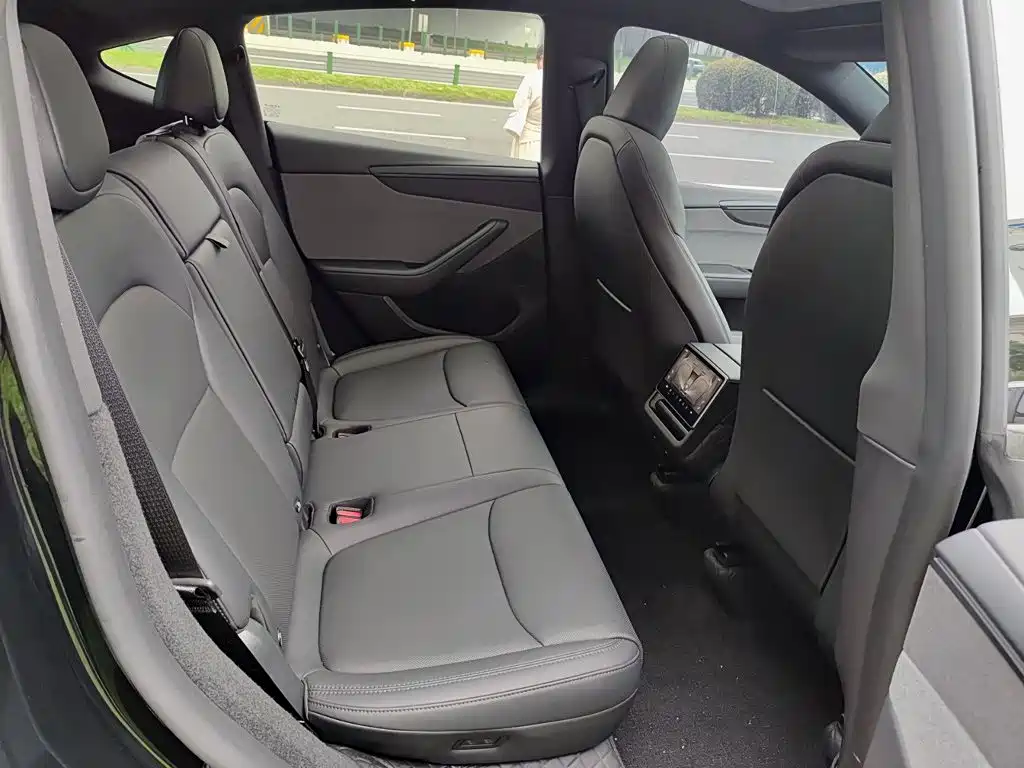 Tesla Model Y — миниатюра 11