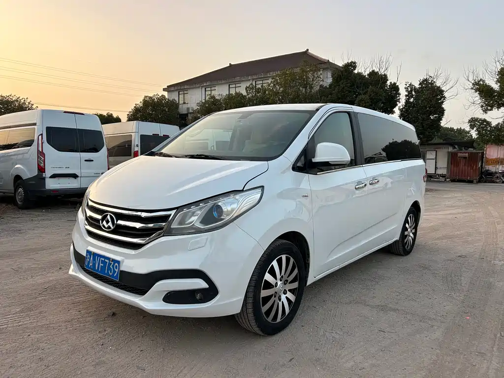 大通 G10 2015