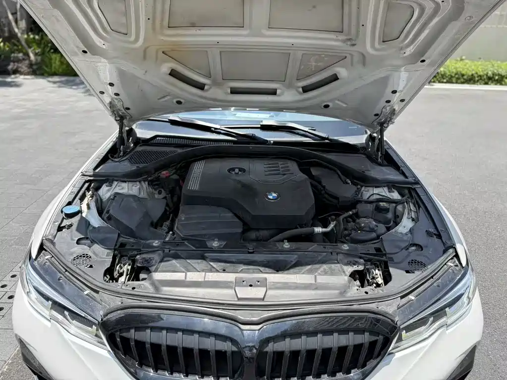 BMW 3 Series 3 2020 325Li M Sport