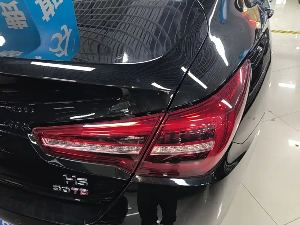 Hongqi Hongqi H5 — миниатюра 8