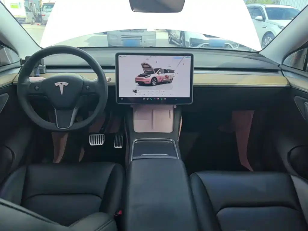 Tesla Model Y — миниатюра 10
