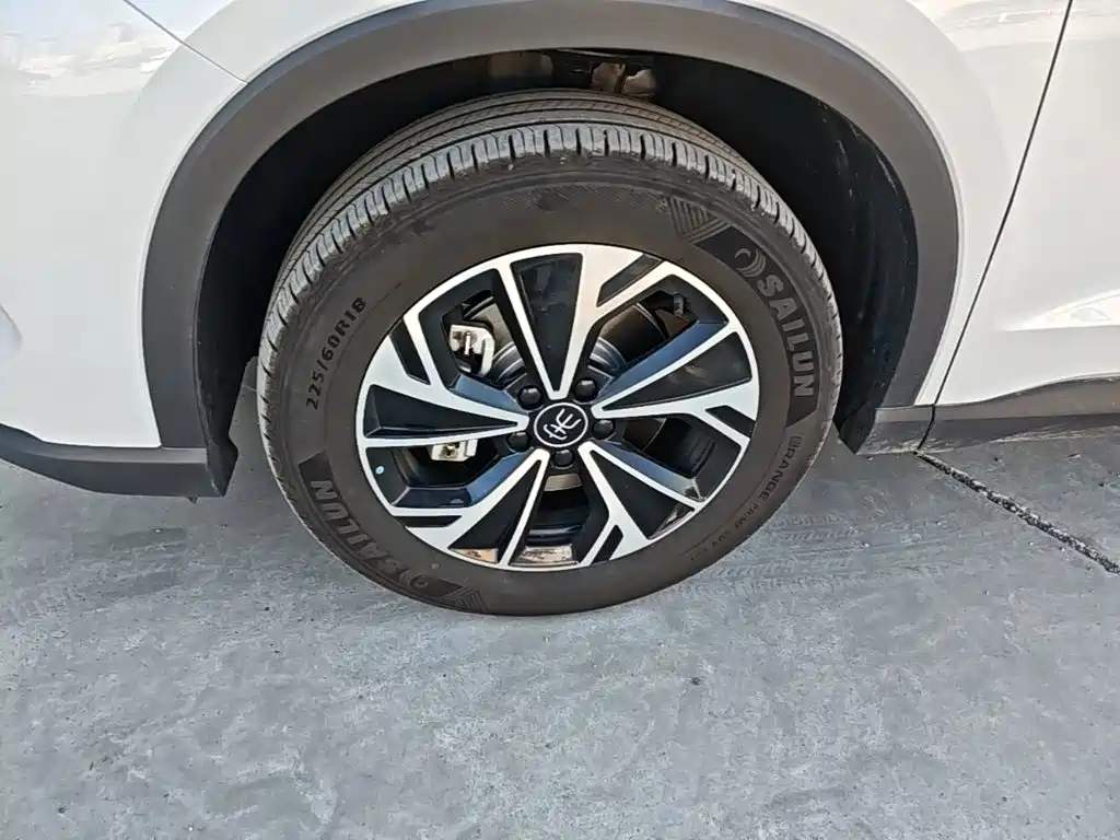 BYD Pro New Energy — миниатюра 23