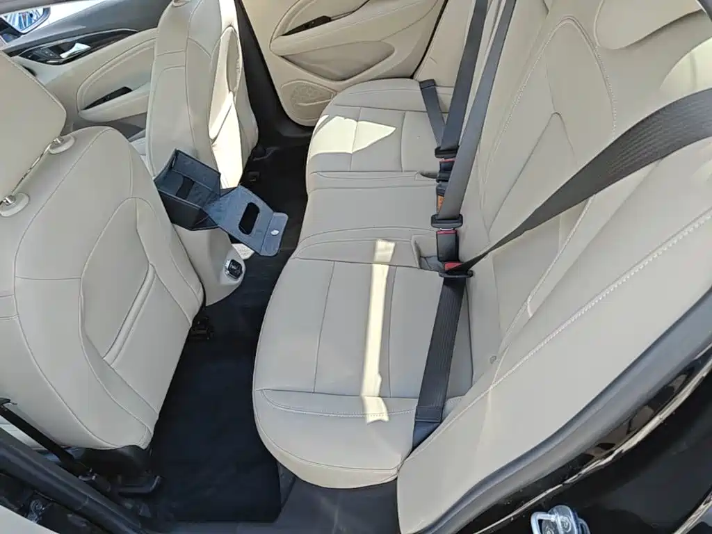 Buick Regal — миниатюра 17