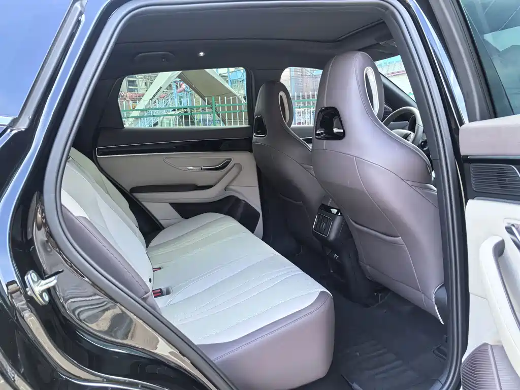 BYD PLUS New Energy — миниатюра 12