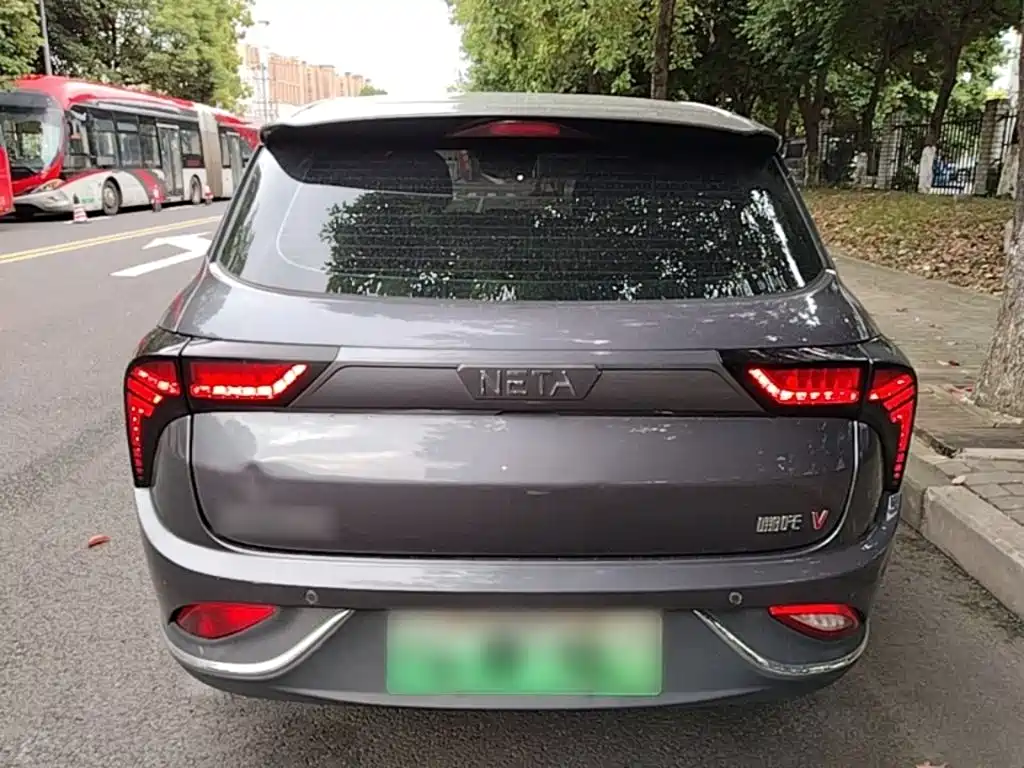 Neta Neta V — миниатюра 6