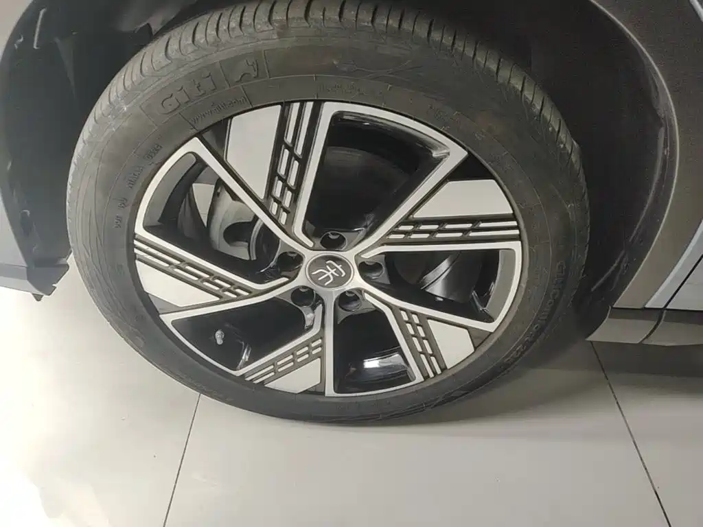BYD Pro New Energy — миниатюра 23