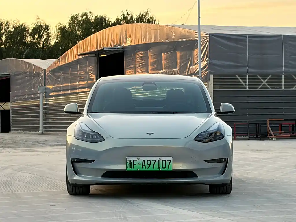 Tesla Model 3 — миниатюра 2