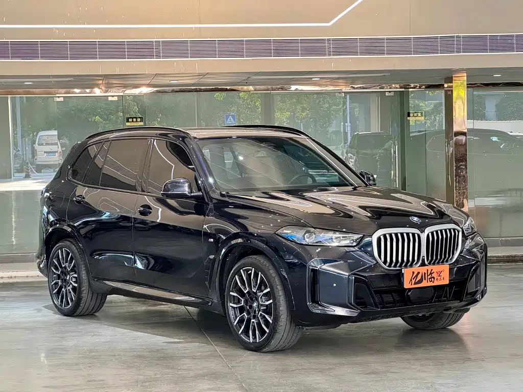 BMW X5 — миниатюра 3