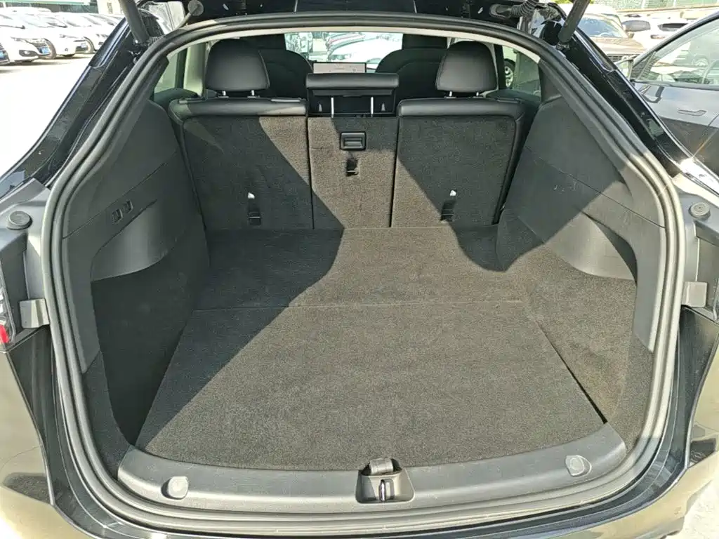 Tesla Model Y — миниатюра 19