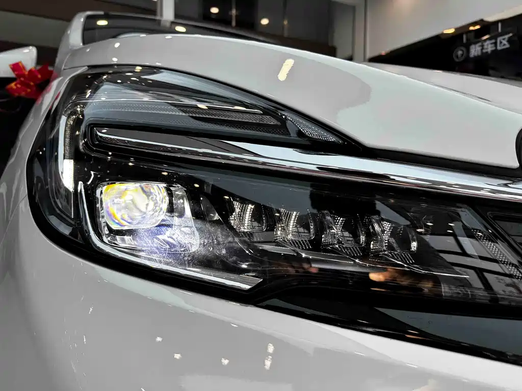 Buick GL8 — миниатюра 4