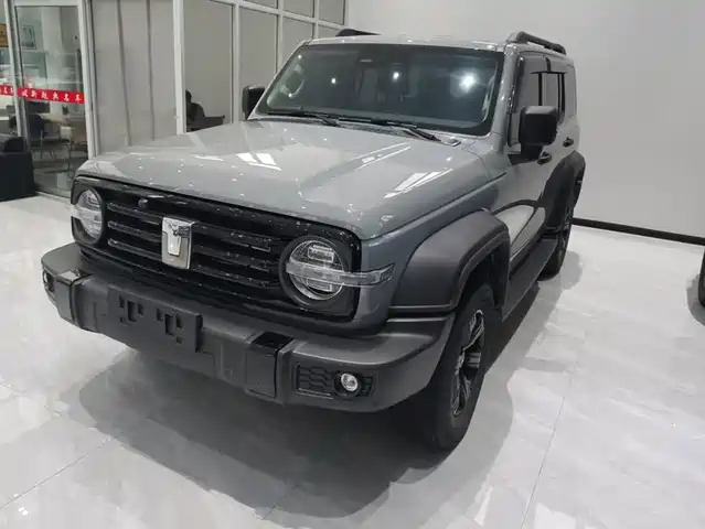 2023 TANK 300