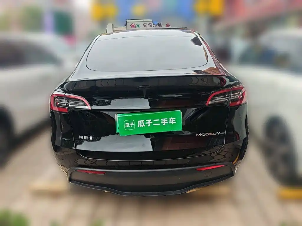 Tesla Model Y — миниатюра 3