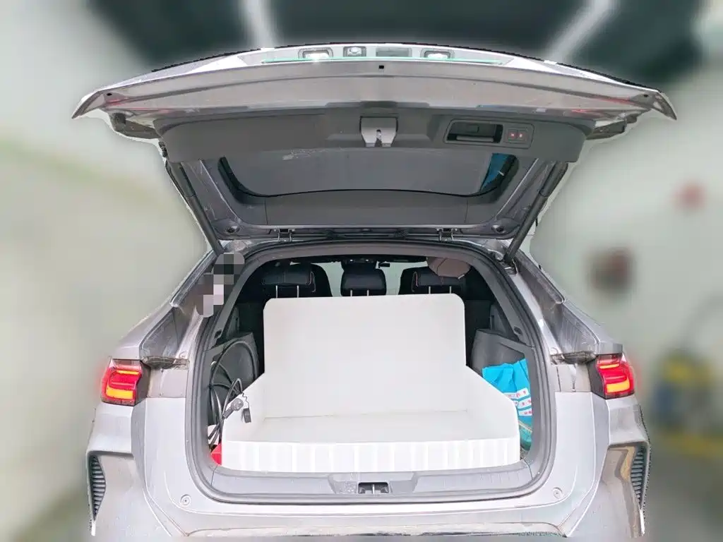 BYD PLUS New Energy — миниатюра 15